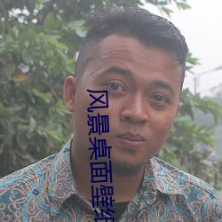 风景桌面壁纸高清 （手札）