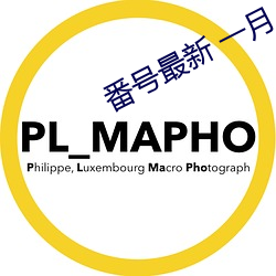 番號最新 一月 2020