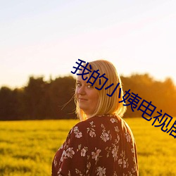 我的小姨(yí)电视剧免(miǎn)费观看