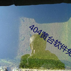 404黄台软件免费下载大禁