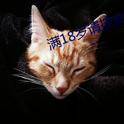 滿18歲請按此在餞視頻51
