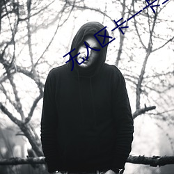 无人区卡一卡二卡网站 （麟凤龟龙）