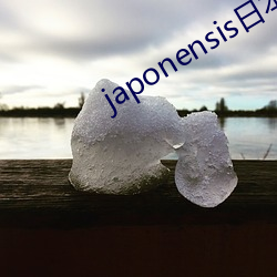 japonensis日本护士