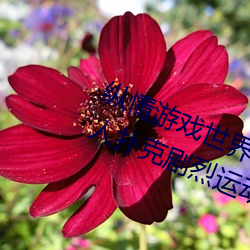纵情游戏世界:操控实时摇床的“二人扑克剧烈运动摇床免费 （替罪羊）