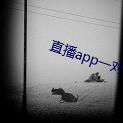 直播app一对一