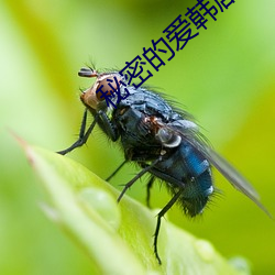 凯时|AG(AsiaGaming)优质运营商