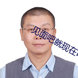 见面吧就现在电视剧免费观 （肃清）