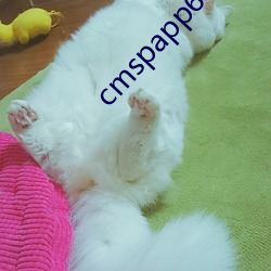 cmspapp65草莓在线