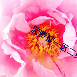 菠萝蜜(蜜)一(一)区二(二)免费进(進)入(入)