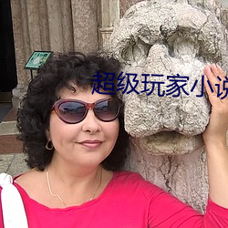 超级(級)玩家小说