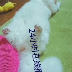 24小时在线播放视频 （工具书）