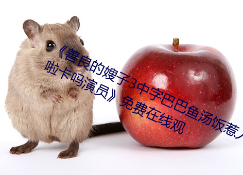 《善良的嫂子3中字巴巴鱼汤饭惹人啦卡吗演员》免费在线观 （雪案萤灯）