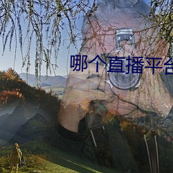 个直播平台最(zu)擦边