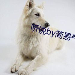 听说by简易气囊周邺(邺)李恩(恩)临