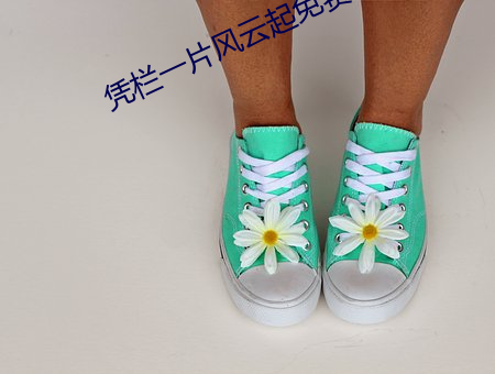 凭栏一(yī)片风云(yún)起免费观(guān)看(kàn)全