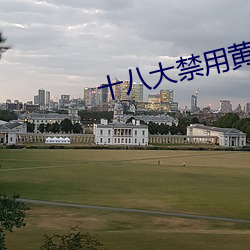 十八大禁用黄app软件极乐 （宁为玉碎，不为瓦全）