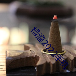 槽溜2022手机