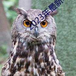 2023年最新电影票(票)房(房)排行榜