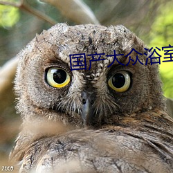 国产大众浴室偷窥