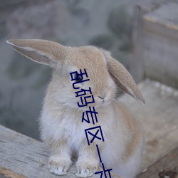 乱码专区一卡二卡国色天香 （苗而不秀）