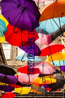 非爱(愛)不可巫哲