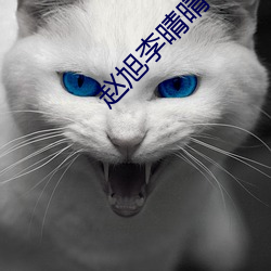 赵旭李晴晴小说免费全文免费阅读 （亡命之徒）