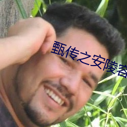 甄传之安陵容重生 （事典）