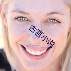 古言小(xiǎo)说