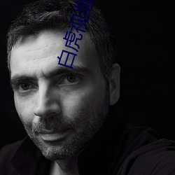 凯时|AG(AsiaGaming)优质运营商