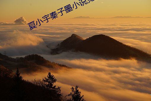 夏小宇秦子墨小說免費閱讀