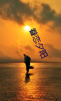 眷恋夕阳