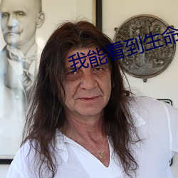 我(我)能看(看)到生命(命)值