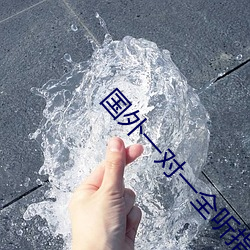 國外一對一全聽指揮