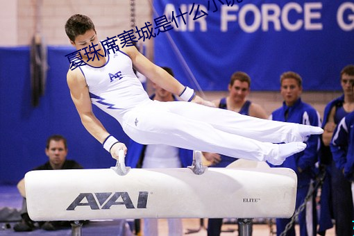 夏珠席寒城是什么小说