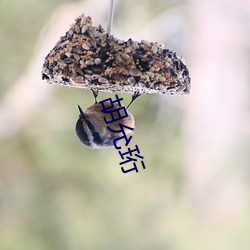 胡(hú)允珩