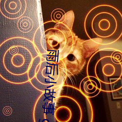 凯时|AG(AsiaGaming)优质运营商
