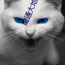 南(南)通大地数字影院(院)