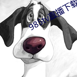 985tv直播下载 （丝分缕析）