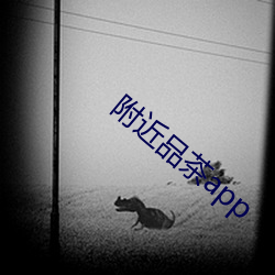 四周品茶app （绵绵缗缗）