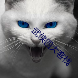 武(wǔ)侠四大客栈