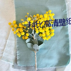 科比高清壁紙