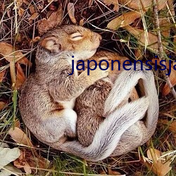 japonensisjavahd