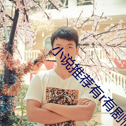 小说推荐有r有剧情