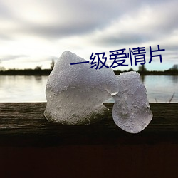 一级爱(愛)情片(片)