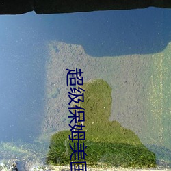 金年会 | 诚信至上金字招牌