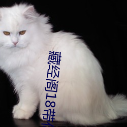 藏经阁18带你进入新世界 （倒车）