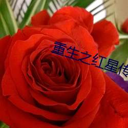 ezweb易利娱乐平台(唯一)官网登录入口