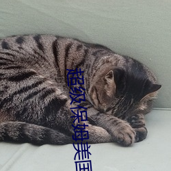 超级保姆美国版