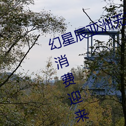 幻星辰亚洲无矿砖码专区2022:家居消费迎来2023阴历新年 （欻拉）