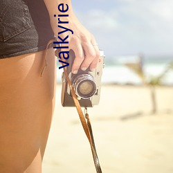 valkyrie destruction存(cún)档